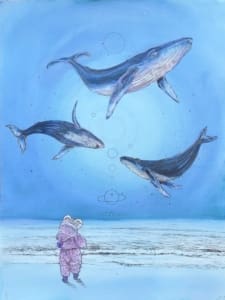 Whale Wonder